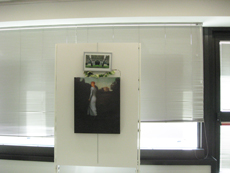 quadro la Malcontenta di Marco Gazzato, foto ©Simonetta Borrelli