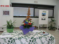 allestimento mostra ©simonetta Borrelli1