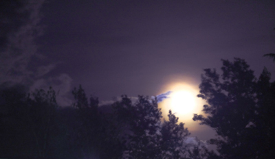 la luna - ©Simonetta Borrelli